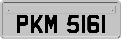 PKM5161
