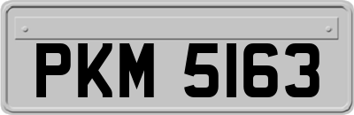 PKM5163