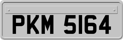 PKM5164