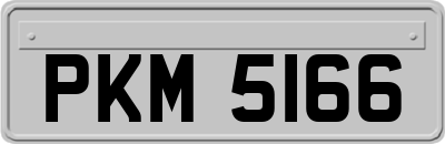 PKM5166