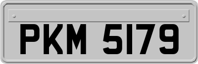 PKM5179