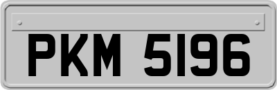 PKM5196