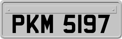 PKM5197