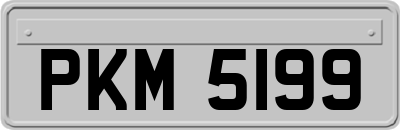 PKM5199