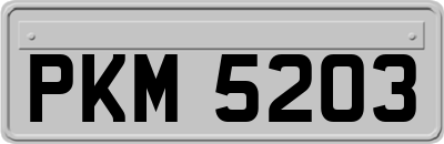 PKM5203