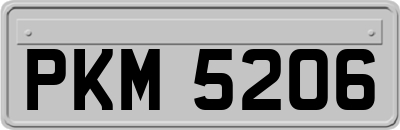PKM5206