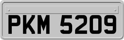 PKM5209
