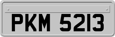 PKM5213