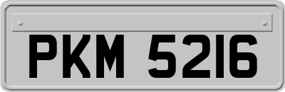PKM5216