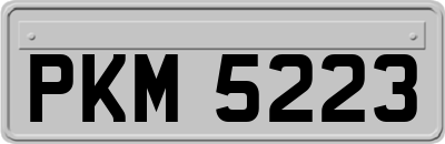 PKM5223