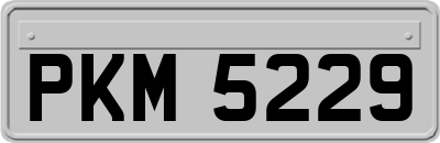 PKM5229