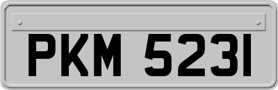 PKM5231