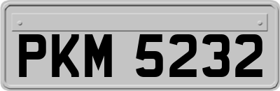 PKM5232