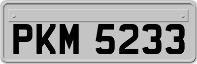 PKM5233