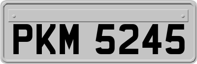 PKM5245