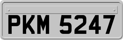 PKM5247