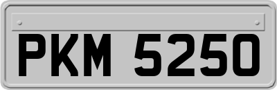 PKM5250