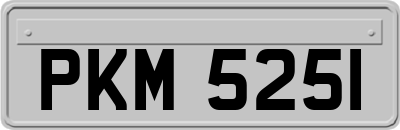 PKM5251