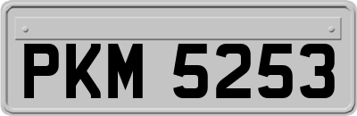 PKM5253