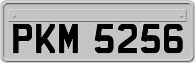 PKM5256