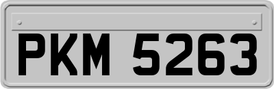 PKM5263