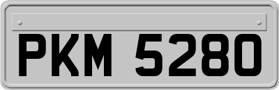 PKM5280
