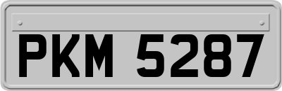 PKM5287