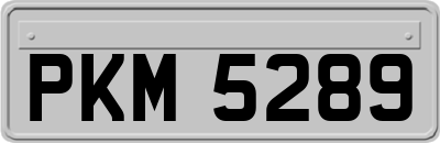 PKM5289