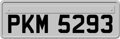 PKM5293