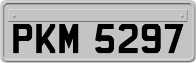 PKM5297