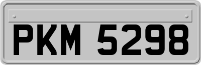 PKM5298