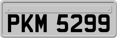 PKM5299
