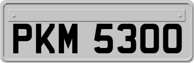 PKM5300