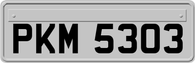 PKM5303