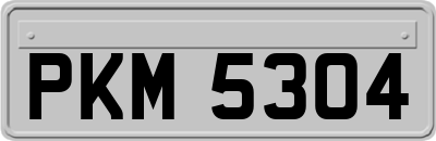 PKM5304
