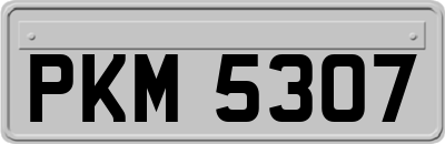 PKM5307
