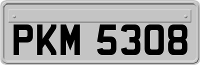 PKM5308