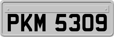 PKM5309