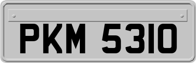 PKM5310