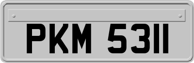 PKM5311
