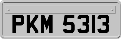 PKM5313
