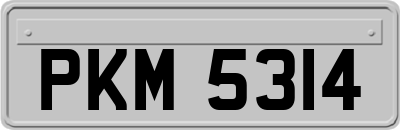 PKM5314