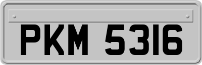 PKM5316