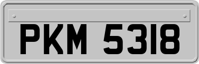 PKM5318