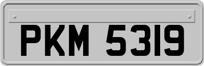 PKM5319