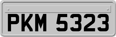 PKM5323