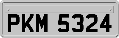 PKM5324