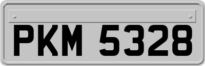 PKM5328