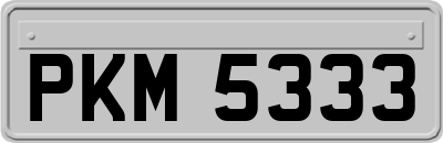 PKM5333