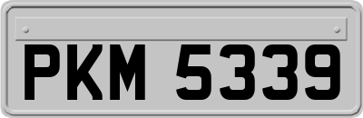 PKM5339